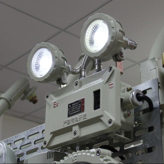 Buy 2x3W Explosion Proof LED Emergency Exit Light with Rechargeable Battery at wholesale prices