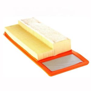 Quality Car Air Filter 1745700 C36006/1 Essential Auto Engine Part for Optimal Performance for sale