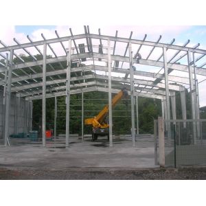 Different Section Building Steel Frame With Normal Painting