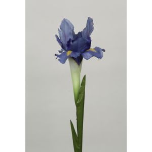 Quality Silk Iris Stem for sale