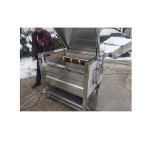 Industrial Fresh Vegetable Fruits Cleaning And Drying Processing Line Washing