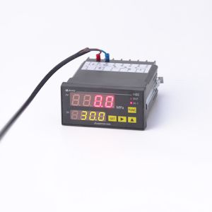 One Half 20 Digital Pressure Controller Hydraulic Pressure Oil Plastics Latex