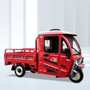 1500w Electric Cargo Tricycle with Enclosed Body High Displacement and Red Color