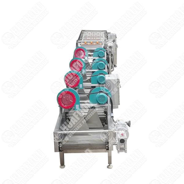 Buy Industrial Apple Fruit Processing Line Automatic Fruit Washing Machine Apricot Prune Fruit Peach Sorting Washing Machine at wholesale prices
