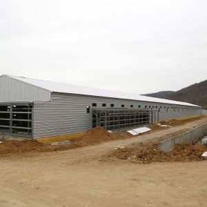 Light Steel Structure Poultry Farming Structures Poultry House