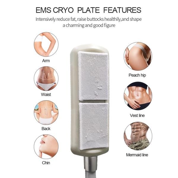 EMS Cooling Beauty Therapy Machine Fat And Cellulite Reduction Machine