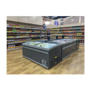 Deep Freezer Cabinet 630L Commercial Display Freezer Automatic Defrost System