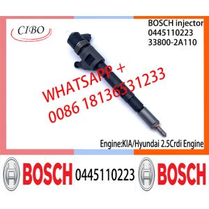 BOSCH Common fuel Injector 0445110186 0445110185 0445110222 0445110223 33800