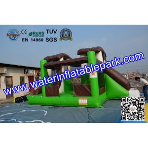 Indoor and Outdoor Inflatable Bouncy Castle with Slide