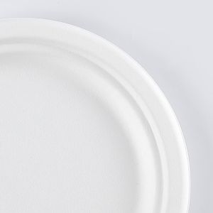 Biodegradable Food Container Bagasse Round Plates