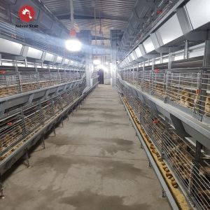 Hot Dip Broiler Battery Rearing Cage Galvanized Poultry Farming Meat