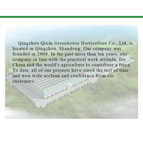 Good Light Permeability Essential for Venlo Glass Greenhouse in Agricultural Industry