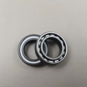 61802 6802rs 6802 Ceramic Bearing ABEC3 SSiC Races Balls Cage