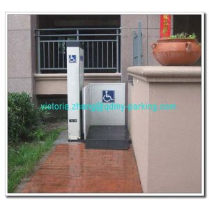 Disabled Lift for Elder/Handicapped Wheelchair Lifts for Stairs Factories