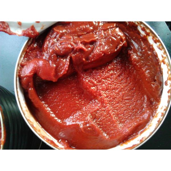 Buy Highly Rated Canned Tomato Concentrate with HACCP Certification in Tins at wholesale prices
