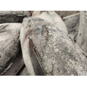 HACCP Approved 10 - 20KG Frozen Yellowfin Tuna WR