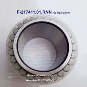 Industrial Grade Full Complement Roller Bearings for Hydraulic Pumps