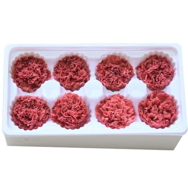 Factory Price Preserved Flowers Real Preserved Carnation For Mother