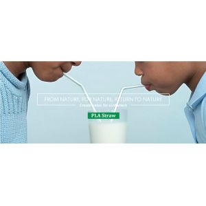 PLA Drinking Straws, CPLA Giant Straws, Individually Wrapped, Plant Based