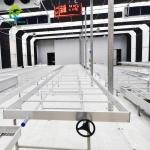 4m-7m High Tunnel Automated Blackout Greenhouse For Agriculture