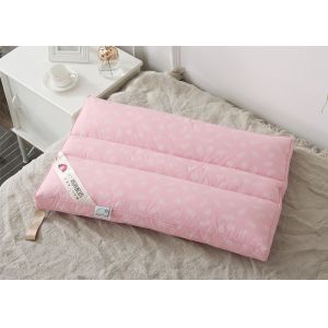 Hypoallergenic SGS Cotton Down Pillows