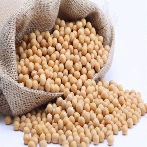 3600kg 60HP 28000m3/H Mobile Grain Dryer For Farm