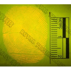 Gold PVD Vacuum Metal Deposition on Forensic Application / Au Thermal Evaporatio