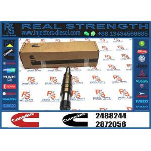 Brand New Injection Injecor Common Rail Fuel Injector Injector 2488244 with High