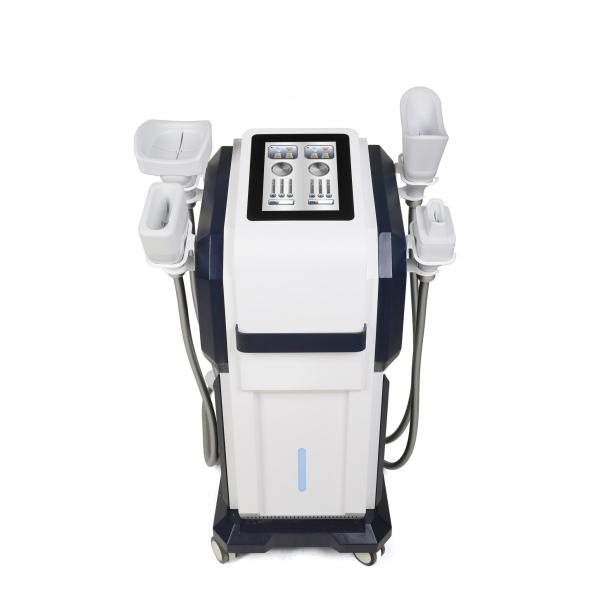 Fat Removal Cryolipolysis Fat Freeze Slimming Machine EMS Cryo Body Sculpting