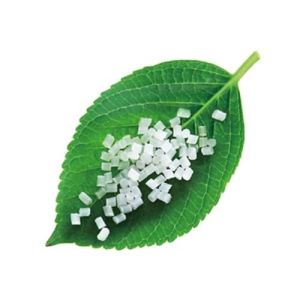 Bioplastic Biodegradable And Compostable Resin Raw Materials Bio PBS Material