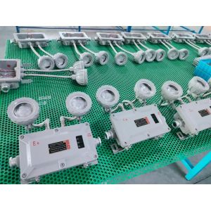 Quality Explosion Proof LED Emergency Light - Wall/Ceiling Mount for sale