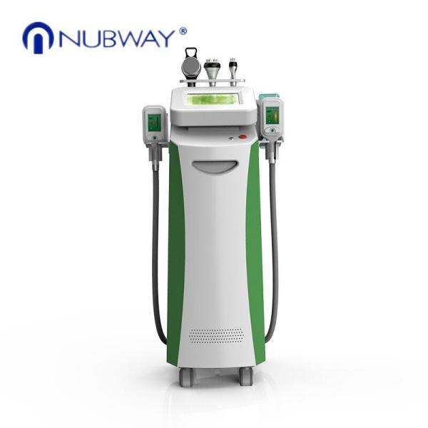 Buy Fat Freeze slimm best seller  5 heads cryolipolysis slimming lipolaser fat frezzing machine Cryo Handles can work at sam at wholesale prices