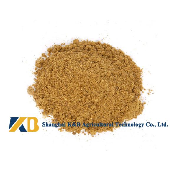 Half Fat High Protein Fish Meals Promote Animal Growth With Feed Grade