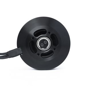 V8017 IPE V1.0 Brushless DC Motor Drone
