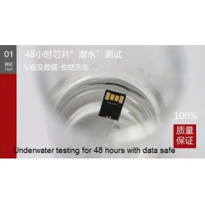 Genuine Capacity Silicone Bracelet USB Flash Drives