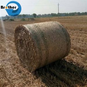 Factory Direct Sales Multi-Colored HDPE High Density Polyester Mesh for