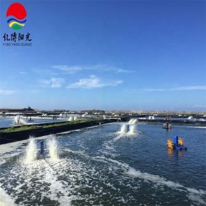 Recirculating Aquaculture System HDPE Geomembrane for Waterproof Projects in 1m