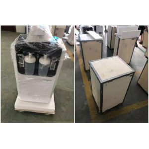 96% Purity Medical Grade Oxygen Concentrator Machine 10 Liter