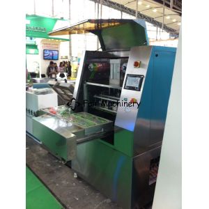 60VAC 4BPM Industrial Vacuum Sealing Machine Boxed Fresh Meat Food Sealer SUS304