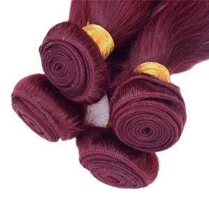 100g 8 -28 Inch 99j Human Hair Bundles