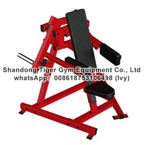 Gym Fitness Equipment Lateral Raise exercise machine