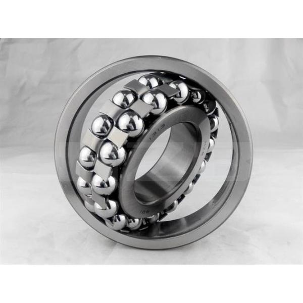 Single Row Double Row Brass / Steel / Nylon Cage Self Aligning Ball Bearing