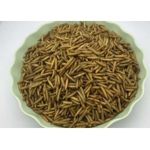 Quality Long-lasting Dried Insect Meal Shelf Life 1 Year Ingredients Black Soldier Fly Larvae for sale