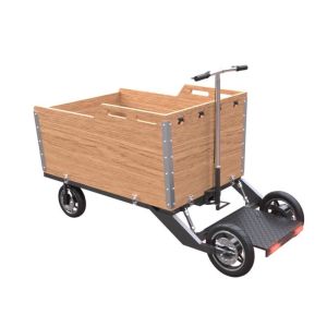 China 355mm Rear Wheel Integrated 500KG Electric Cargo Tricycle on sale