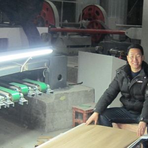 Engineered Silver Pear Veneer Sheet Quarter Cut Good Price For Fancy Panels 2500