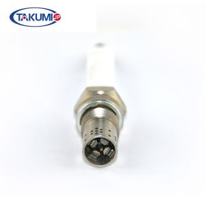 Quality R10P3 Industrial High Performance Spark Plugs For GS 420 Series P3.V3 347257 /V5.401824 for sale