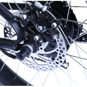 48V 750W Mountain E Bike with Tektro Hydraulic Brake system