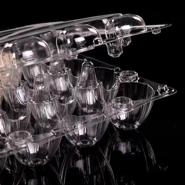 Customized 20 Holes Plastic Egg Packaging Disposable Quail Egg Containers