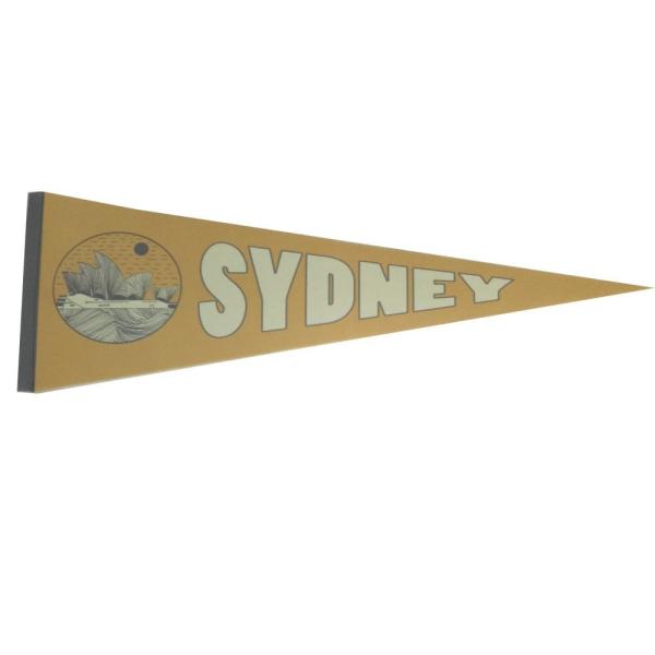 100D Polyester Advertising Felt Pennant Banner CMYK Colorful