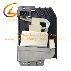 POA-LMP118 610-337-176 Sanyo Projector Lamp PDG-DSU20 PDG-DSU20B PDG-DSU21